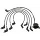 Purchase Top-Quality Tailored Resistor Ignition Wire Set by BLUE STREAK (HYGRADE MOTOR) - 55027 pa2