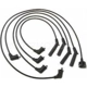 Purchase Top-Quality Tailored Resistor Ignition Wire Set by BLUE STREAK (HYGRADE MOTOR) - 55029 pa2