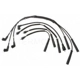 Purchase Top-Quality Tailored Resistor Ignition Wire Set by BLUE STREAK (HYGRADE MOTOR) - 55118 pa2