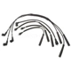 Purchase Top-Quality Tailored Resistor Ignition Wire Set by BLUE STREAK (HYGRADE MOTOR) - 55118 pa4