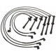 Purchase Top-Quality Tailored Resistor Ignition Wire Set by BLUE STREAK (HYGRADE MOTOR) - 55123 pa2