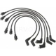 Purchase Top-Quality Tailored Resistor Ignition Wire Set by BLUE STREAK (HYGRADE MOTOR) - 55126 pa2