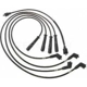 Purchase Top-Quality Tailored Resistor Ignition Wire Set by BLUE STREAK (HYGRADE MOTOR) - 55130 pa2