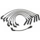 Purchase Top-Quality Tailored Resistor Ignition Wire Set by BLUE STREAK (HYGRADE MOTOR) - 55223 pa2