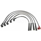 Purchase Top-Quality Tailored Resistor Ignition Wire Set by BLUE STREAK (HYGRADE MOTOR) - 55310 pa2