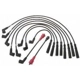 Purchase Top-Quality Tailored Resistor Ignition Wire Set by BLUE STREAK (HYGRADE MOTOR) - 55320 pa2