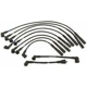 Purchase Top-Quality Tailored Resistor Ignition Wire Set by BLUE STREAK (HYGRADE MOTOR) - 55325 pa2
