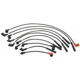 Purchase Top-Quality Tailored Resistor Ignition Wire Set by BLUE STREAK (HYGRADE MOTOR) - 55328 pa2