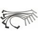 Purchase Top-Quality Tailored Resistor Ignition Wire Set by BLUE STREAK (HYGRADE MOTOR) - 55401 pa2