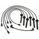 Purchase Top-Quality Tailored Resistor Ignition Wire Set by BLUE STREAK (HYGRADE MOTOR) - 55421 pa2