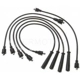 Purchase Top-Quality Tailored Resistor Ignition Wire Set by BLUE STREAK (HYGRADE MOTOR) - 55425 pa2