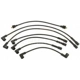 Purchase Top-Quality Tailored Resistor Ignition Wire Set by BLUE STREAK (HYGRADE MOTOR) - 55427 pa2