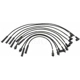 Purchase Top-Quality Tailored Resistor Ignition Wire Set by BLUE STREAK (HYGRADE MOTOR) - 55428 pa2