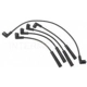 Purchase Top-Quality Tailored Resistor Ignition Wire Set by BLUE STREAK (HYGRADE MOTOR) - 55438 pa2