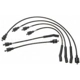 Purchase Top-Quality Tailored Resistor Ignition Wire Set by BLUE STREAK (HYGRADE MOTOR) - 55439 pa2