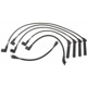Purchase Top-Quality Tailored Resistor Ignition Wire Set by BLUE STREAK (HYGRADE MOTOR) - 55440 pa2