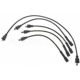 Purchase Top-Quality Tailored Resistor Ignition Wire Set by BLUE STREAK (HYGRADE MOTOR) - 55453 pa2