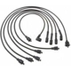 Purchase Top-Quality Tailored Resistor Ignition Wire Set by BLUE STREAK (HYGRADE MOTOR) - 55461 pa2