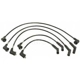 Purchase Top-Quality Tailored Resistor Ignition Wire Set by BLUE STREAK (HYGRADE MOTOR) - 55512 pa2