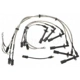 Purchase Top-Quality Tailored Resistor Ignition Wire Set by BLUE STREAK (HYGRADE MOTOR) - 55640 pa2