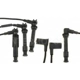 Purchase Top-Quality Tailored Resistor Ignition Wire Set by BLUE STREAK (HYGRADE MOTOR) - 55641 pa1