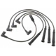 Purchase Top-Quality Tailored Resistor Ignition Wire Set by BLUE STREAK (HYGRADE MOTOR) - 55700 pa2