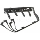 Purchase Top-Quality Tailored Resistor Ignition Wire Set by BLUE STREAK (HYGRADE MOTOR) - 55702 pa2