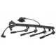 Purchase Top-Quality Tailored Resistor Ignition Wire Set by BLUE STREAK (HYGRADE MOTOR) - 55718 pa2