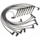 Purchase Top-Quality Tailored Resistor Ignition Wire Set by BLUE STREAK (HYGRADE MOTOR) - 55762 pa2