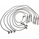 Purchase Top-Quality Tailored Resistor Ignition Wire Set by BLUE STREAK (HYGRADE MOTOR) - 55777 pa2