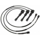 Purchase Top-Quality Tailored Resistor Ignition Wire Set by BLUE STREAK (HYGRADE MOTOR) - 55813 pa2