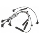 Purchase Top-Quality Tailored Resistor Ignition Wire Set by BLUE STREAK (HYGRADE MOTOR) - 55907 pa2