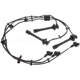 Purchase Top-Quality Tailored Resistor Ignition Wire Set by BLUE STREAK (HYGRADE MOTOR) - 55916 pa4