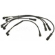 Purchase Top-Quality Tailored Resistor Ignition Wire Set by BLUE STREAK (HYGRADE MOTOR) - 55921 pa2