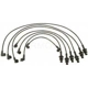 Purchase Top-Quality Tailored Resistor Ignition Wire Set by BLUE STREAK (HYGRADE MOTOR) - 55929 pa2