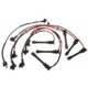 Purchase Top-Quality Tailored Resistor Ignition Wire Set by BLUE STREAK (HYGRADE MOTOR) - 55936 pa2
