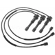 Purchase Top-Quality Tailored Resistor Ignition Wire Set by BLUE STREAK (HYGRADE MOTOR) - 6444 pa2