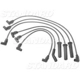 Purchase Top-Quality Tailored Resistor Ignition Wire Set by BLUE STREAK (HYGRADE MOTOR) - 6447 pa6
