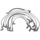 Purchase Top-Quality Tailored Resistor Ignition Wire Set by BLUE STREAK (HYGRADE MOTOR) - 6638 pa5