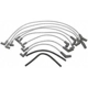 Purchase Top-Quality Tailored Resistor Ignition Wire Set by BLUE STREAK (HYGRADE MOTOR) - 6646 pa6