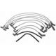 Purchase Top-Quality Tailored Resistor Ignition Wire Set by BLUE STREAK (HYGRADE MOTOR) - 6646 pa8