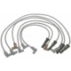 Purchase Top-Quality Tailored Resistor Ignition Wire Set by BLUE STREAK (HYGRADE MOTOR) - 6648 pa2
