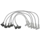 Purchase Top-Quality Tailored Resistor Ignition Wire Set by BLUE STREAK (HYGRADE MOTOR) - 6676 pa2