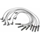 Purchase Top-Quality Tailored Resistor Ignition Wire Set by BLUE STREAK (HYGRADE MOTOR) - 6810 pa2