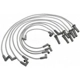 Purchase Top-Quality Tailored Resistor Ignition Wire Set by BLUE STREAK (HYGRADE MOTOR) - 6841 pa2