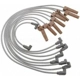 Purchase Top-Quality Tailored Resistor Ignition Wire Set by BLUE STREAK (HYGRADE MOTOR) - 6891 pa2