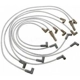 Purchase Top-Quality Tailored Resistor Ignition Wire Set by BLUE STREAK (HYGRADE MOTOR) - 6908 pa2