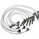 Purchase Top-Quality Tailored Resistor Ignition Wire Set by BLUE STREAK (HYGRADE MOTOR) - 6914 pa2