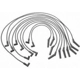 Purchase Top-Quality Tailored Resistor Ignition Wire Set by BLUE STREAK (HYGRADE MOTOR) - 6919 pa6