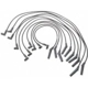 Purchase Top-Quality Tailored Resistor Ignition Wire Set by BLUE STREAK (HYGRADE MOTOR) - 6922 pa2